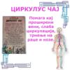 ЦИРКУЛУС ЧАЈ - Image 2
